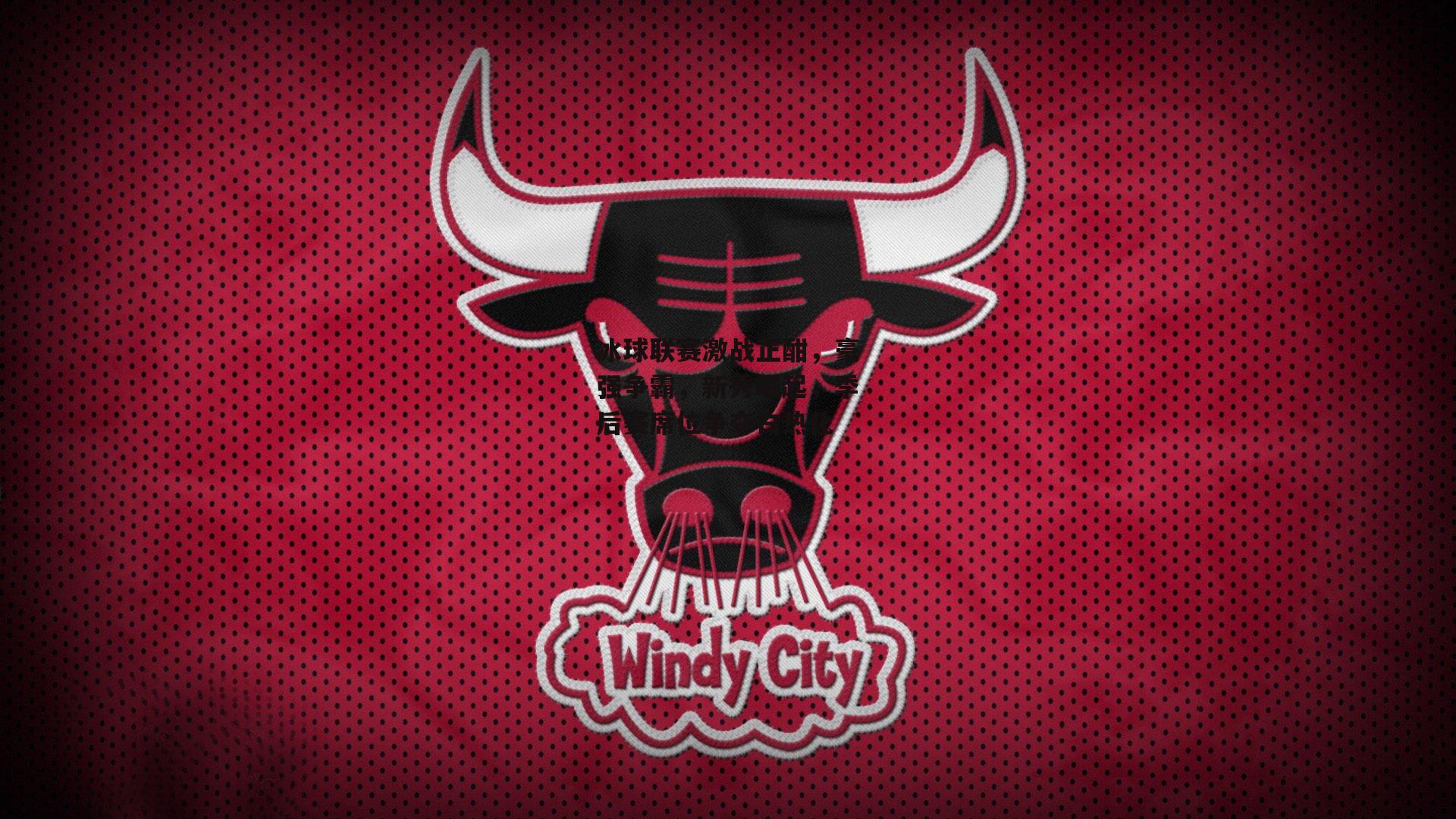 冰球联赛激战正酣,豪强争霸,新秀崛起,季后赛席位争夺白热化